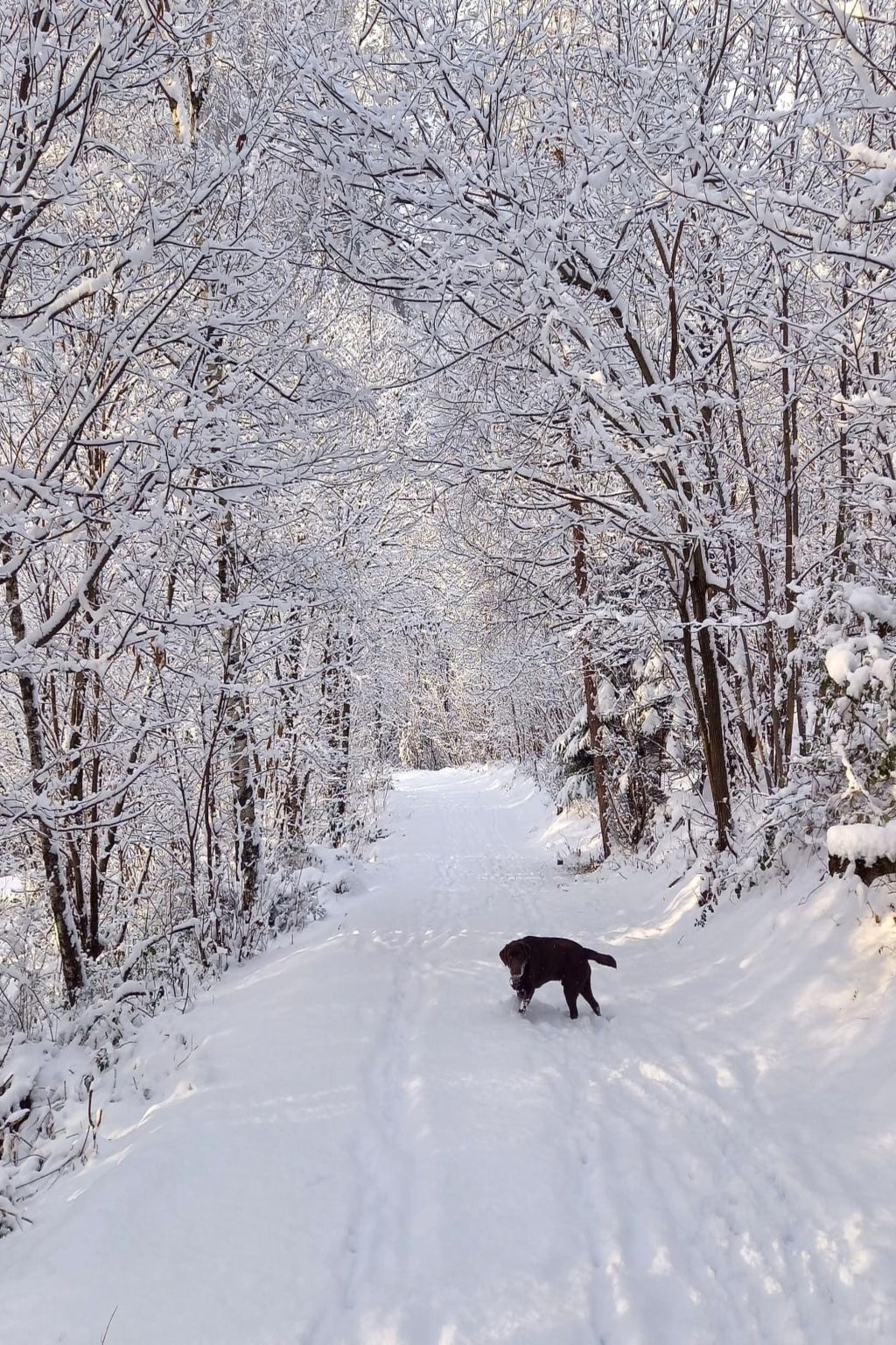 Rustico Raslina - Draußen