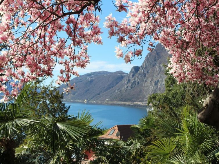 Garten-wohnung - Lugano