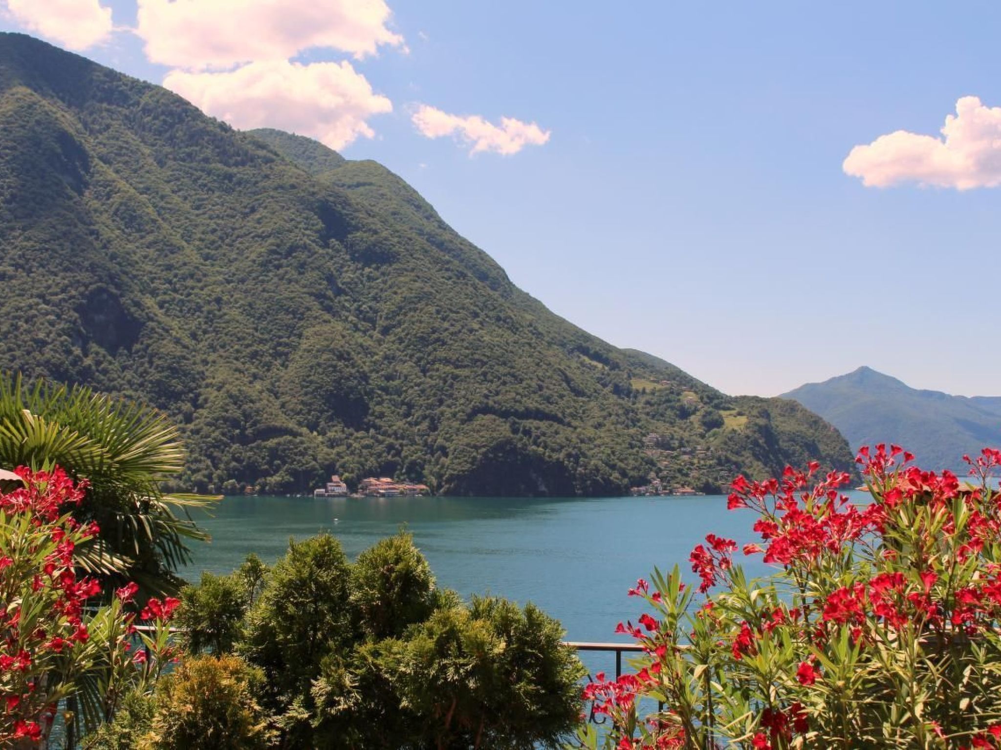 Barony Villa-Image-tags.info