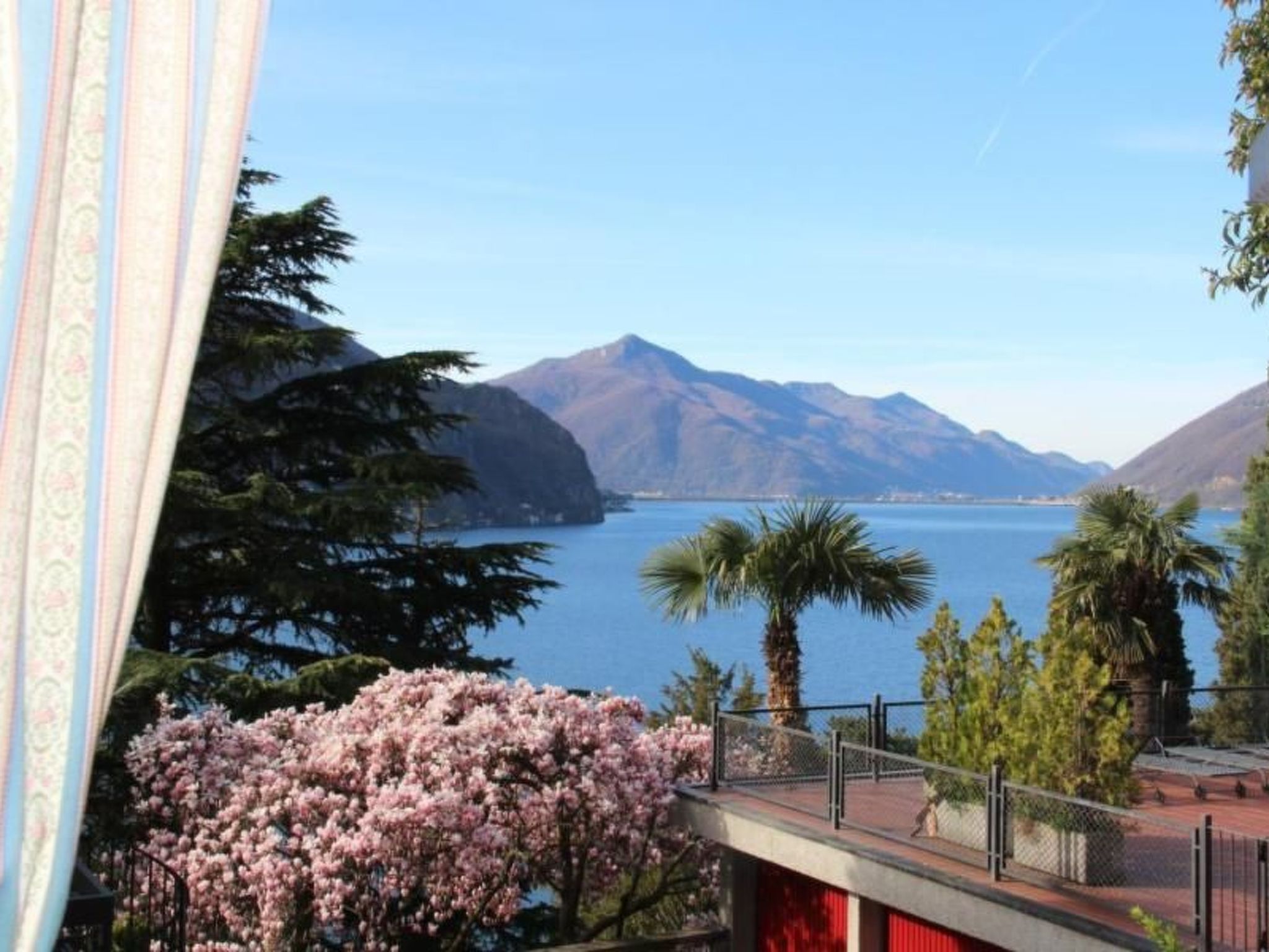 Olive Villa in Lugano