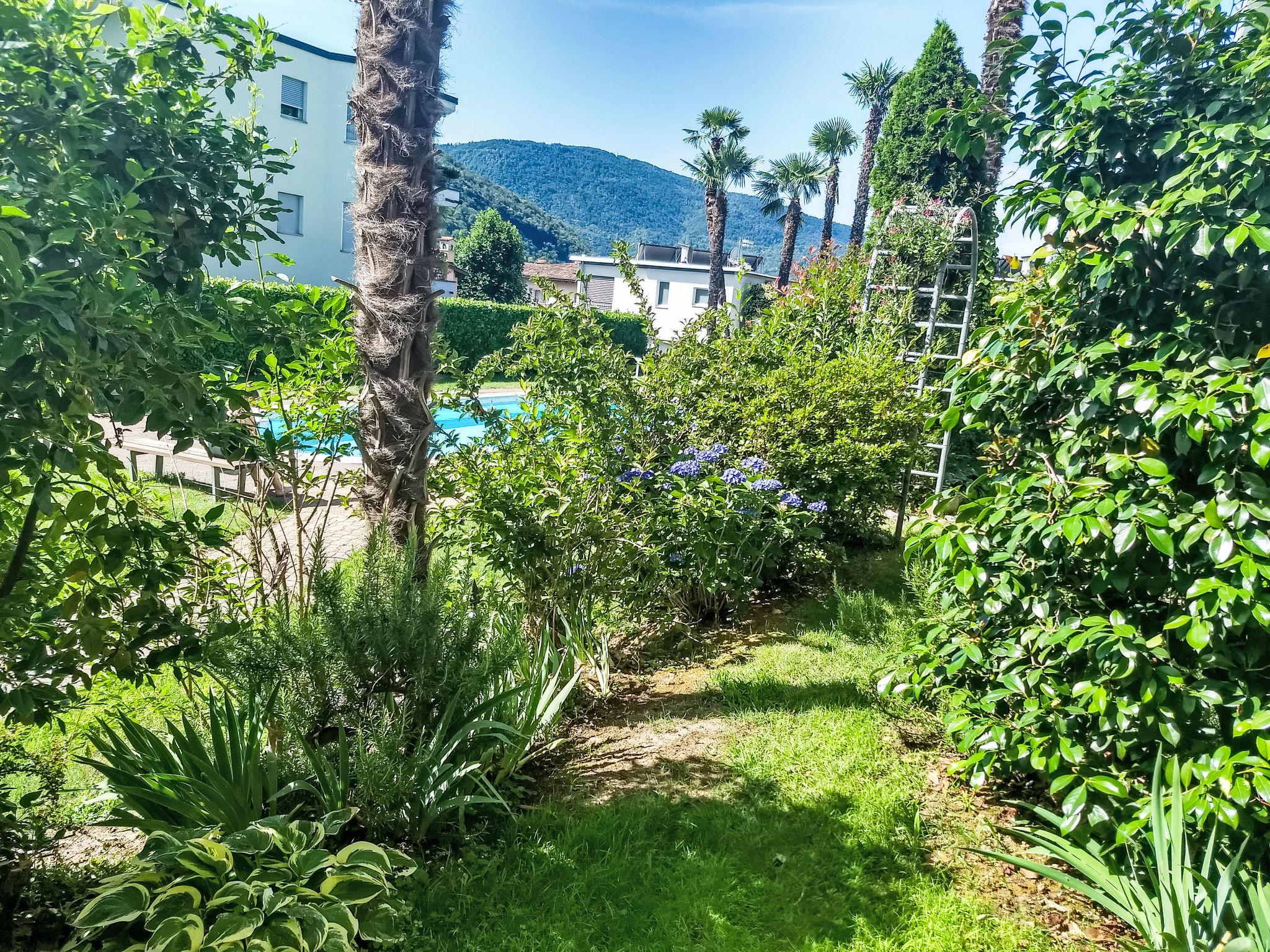 2 Zimmer Gartenwohnung mit Pool