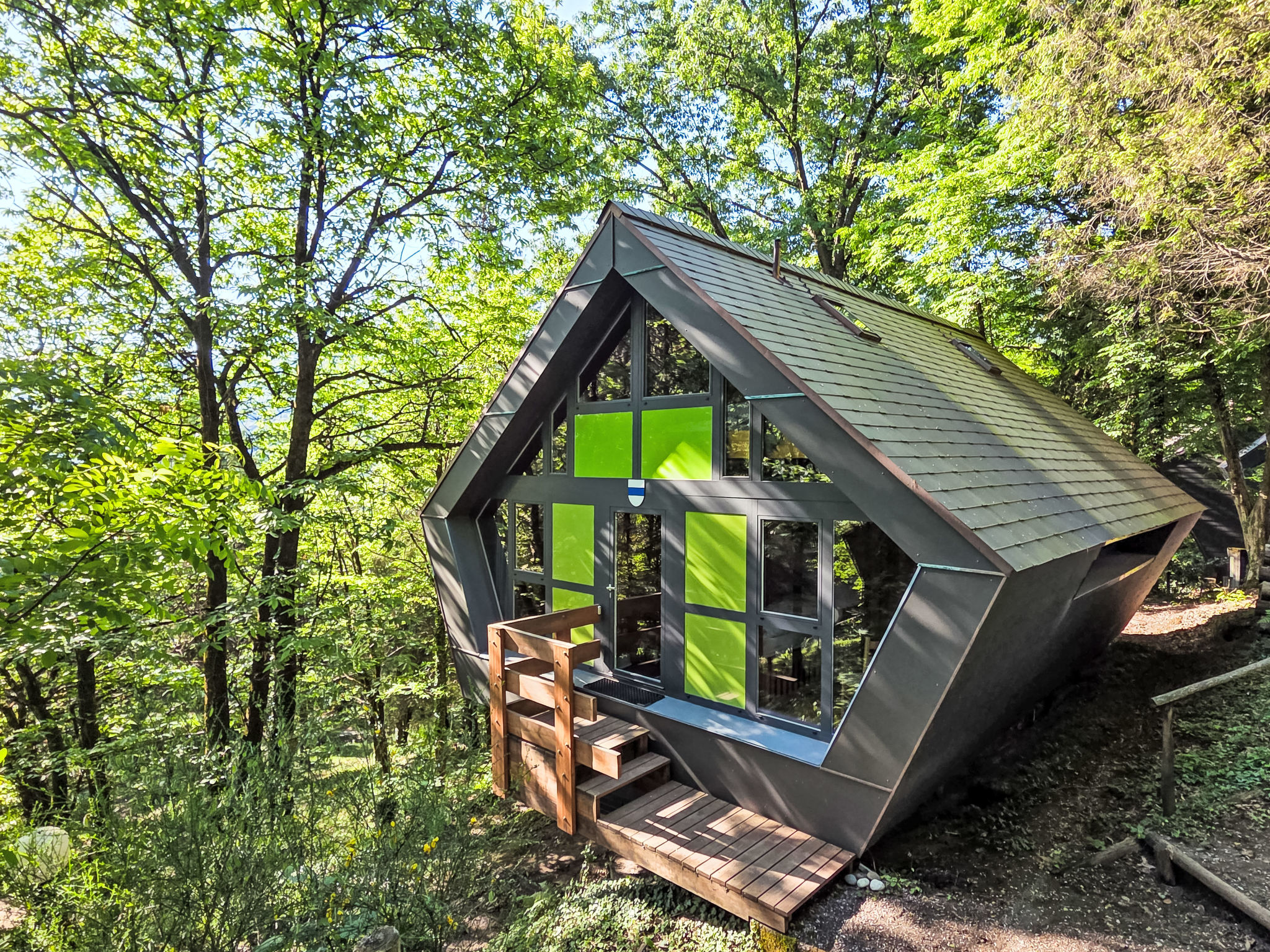 Bosco della Bella 6