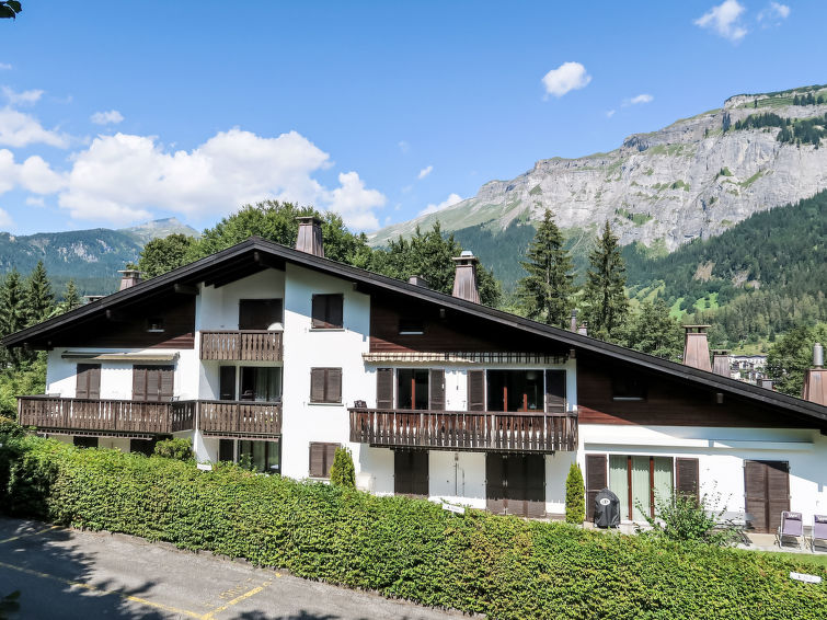 Villa Waldpark Villa in Flims 