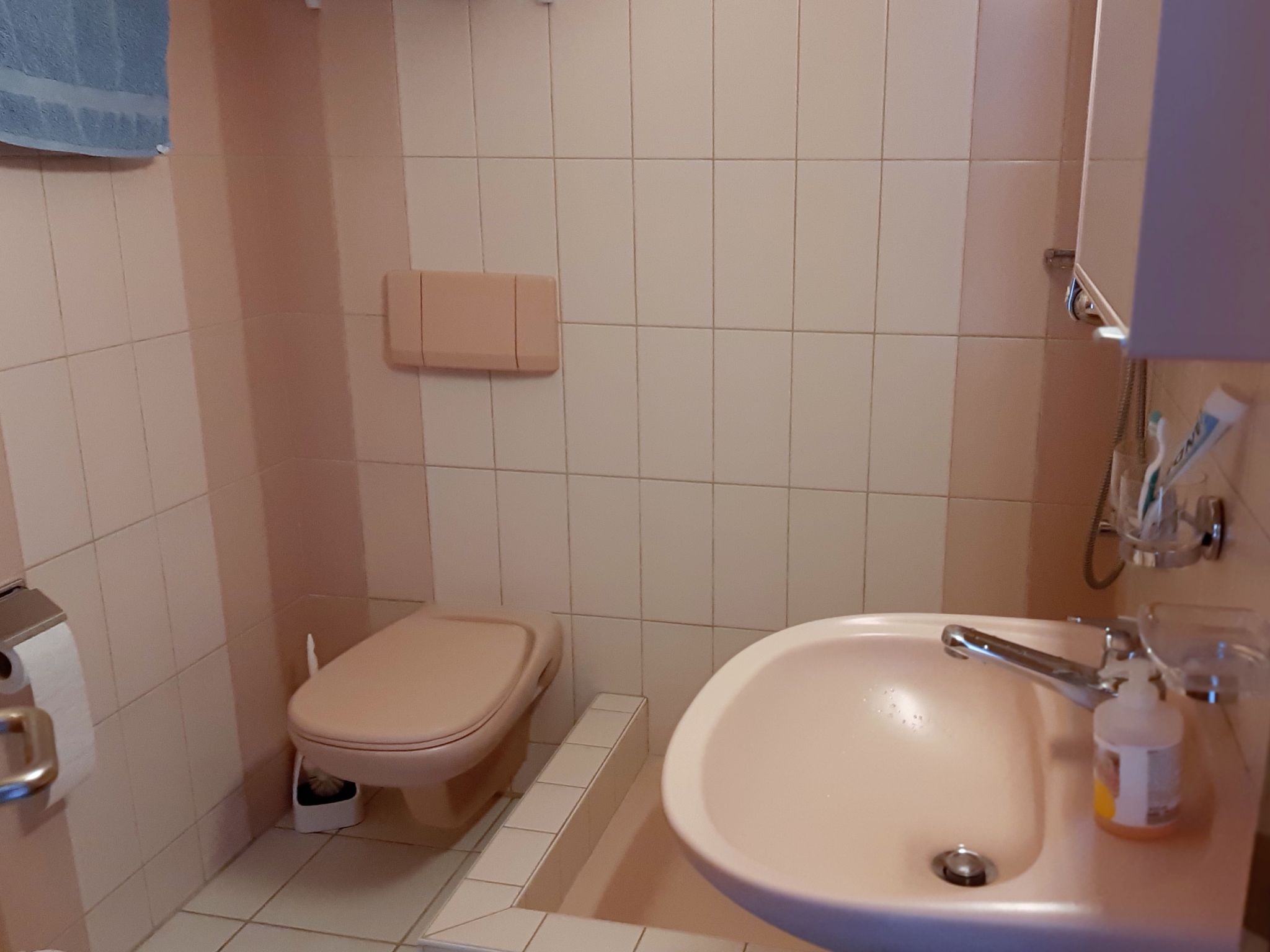 Photo of Panorama A23 / Fitzi, (Flims Dorf). Panorama A 23 / Fitzi