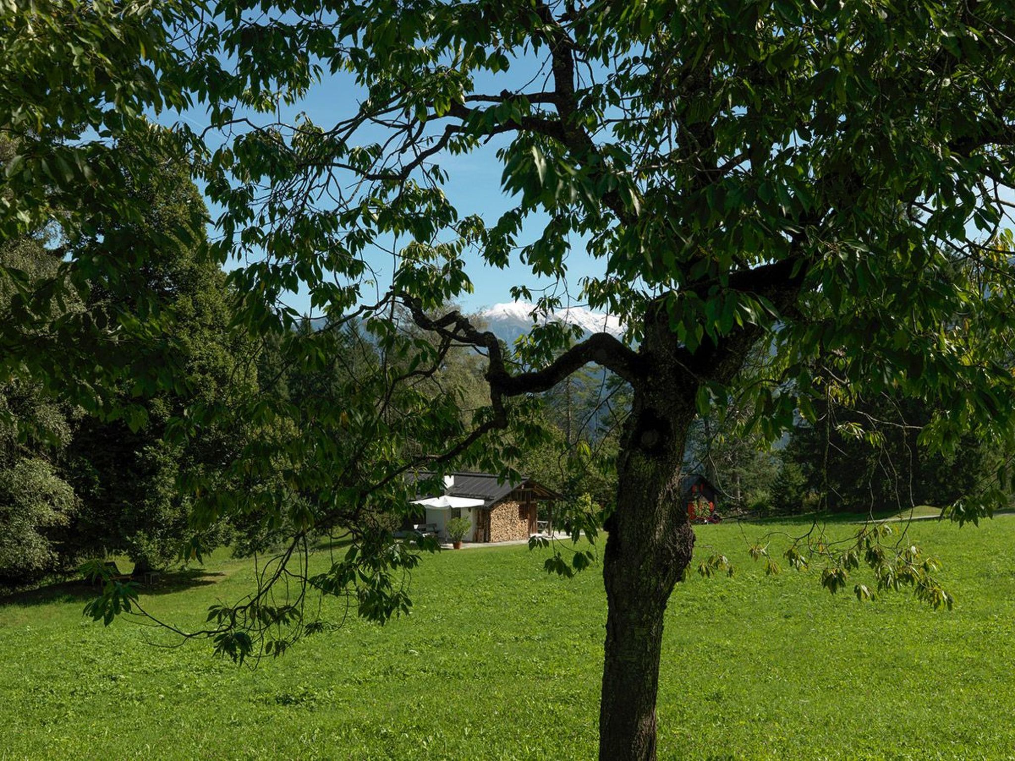 Photo of Holzerheim, (Flims Dorf), 1659