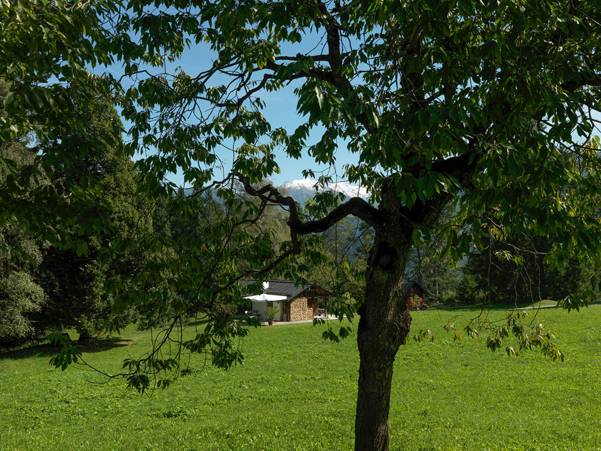 Photo of Holzerheim, (Flims Dorf), 1659
