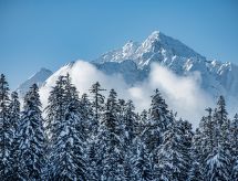 Bergflirt in Flims Waldhaus: appartement vlakbij skipiste en meer - thumbnail 1