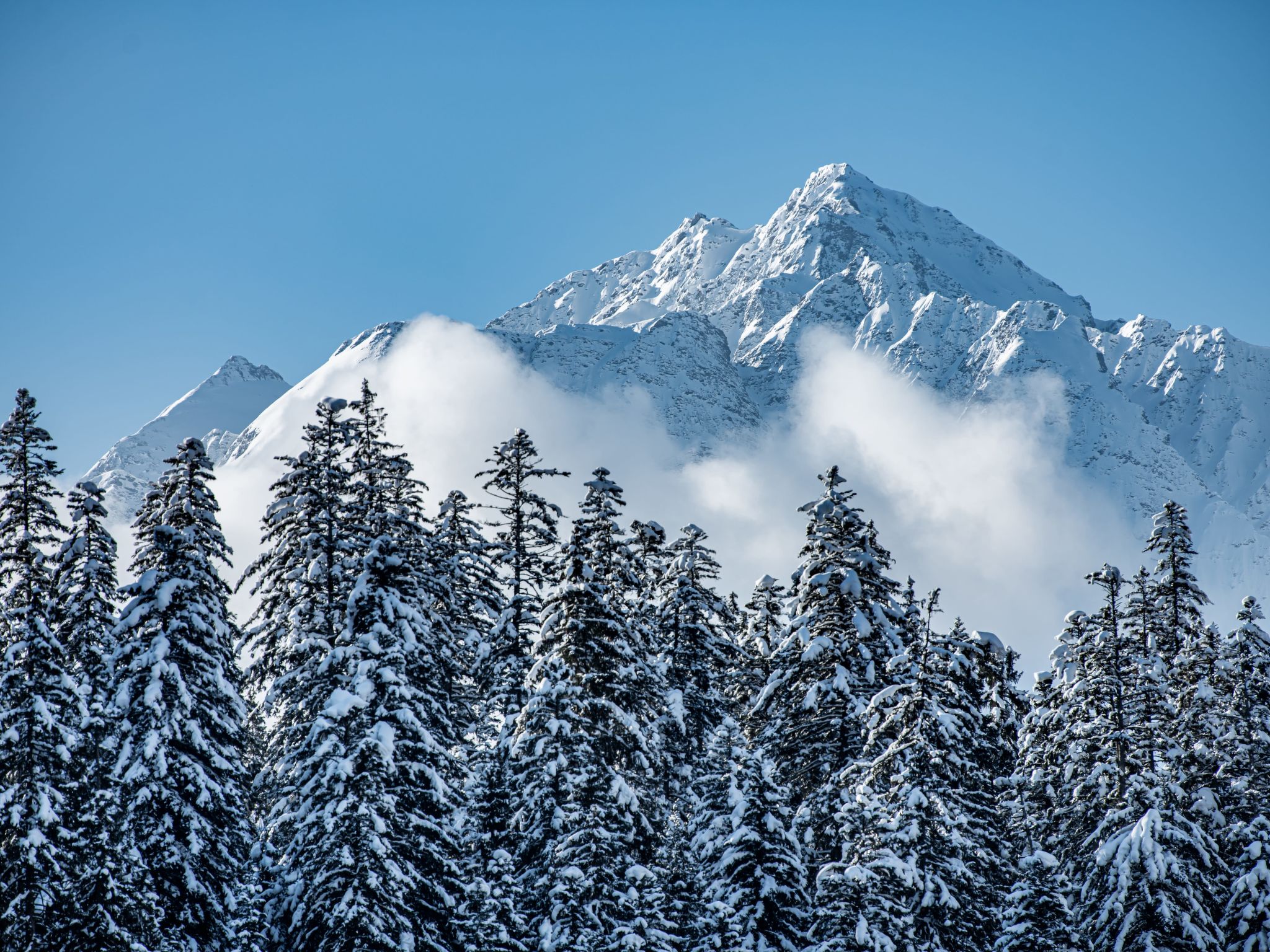 Photo of Putzprinz Gujan Ferienwohnung, Haus Surmir B / 16, (Flims Waldhaus). 2.5-Zimmer