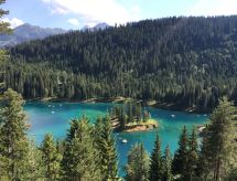 Casa Admisa: Jouw bergappartement in het charmante Flims Dorf - thumbnail 4