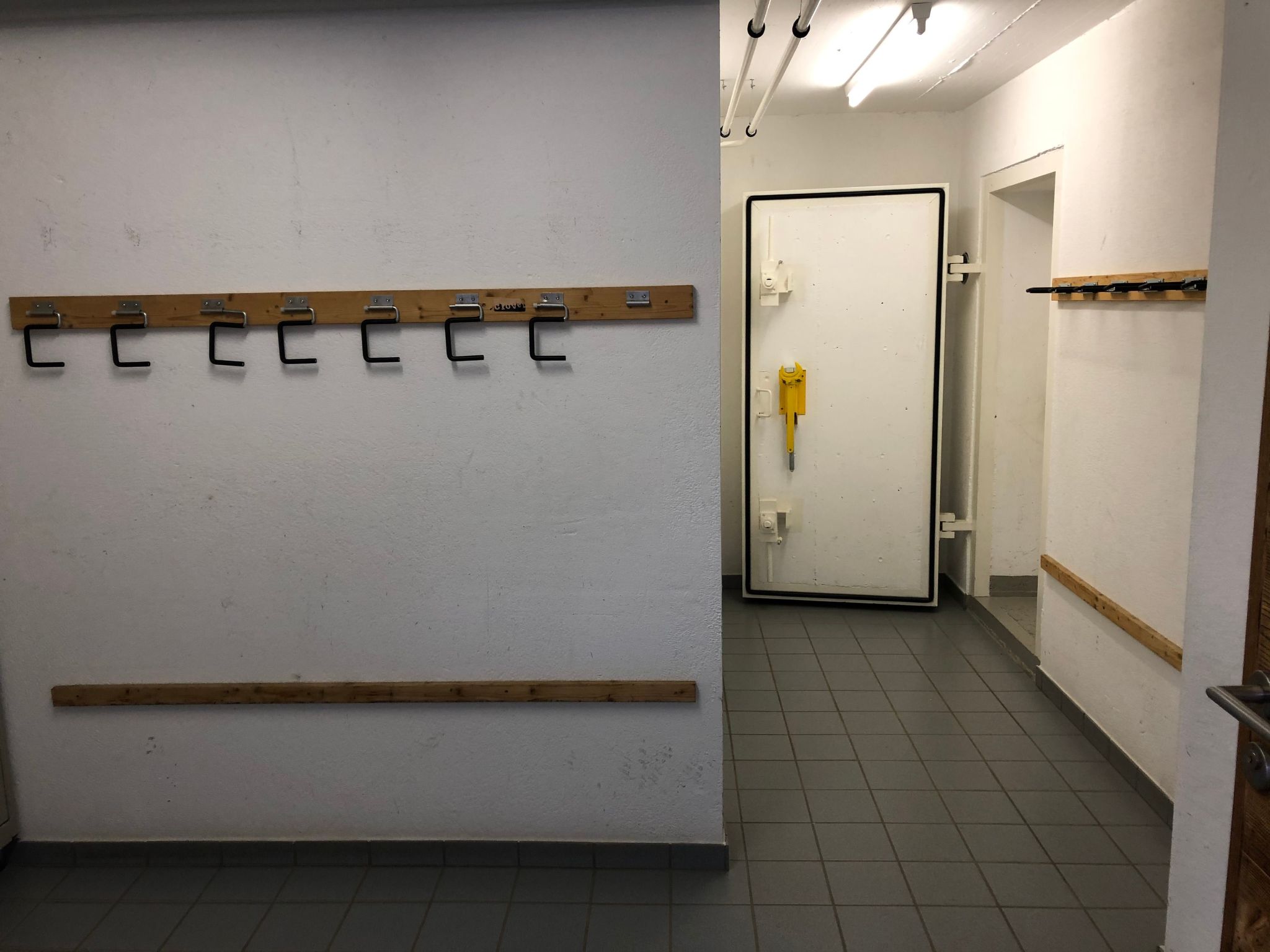 Photo of Mira Flem, (Flims Dorf),