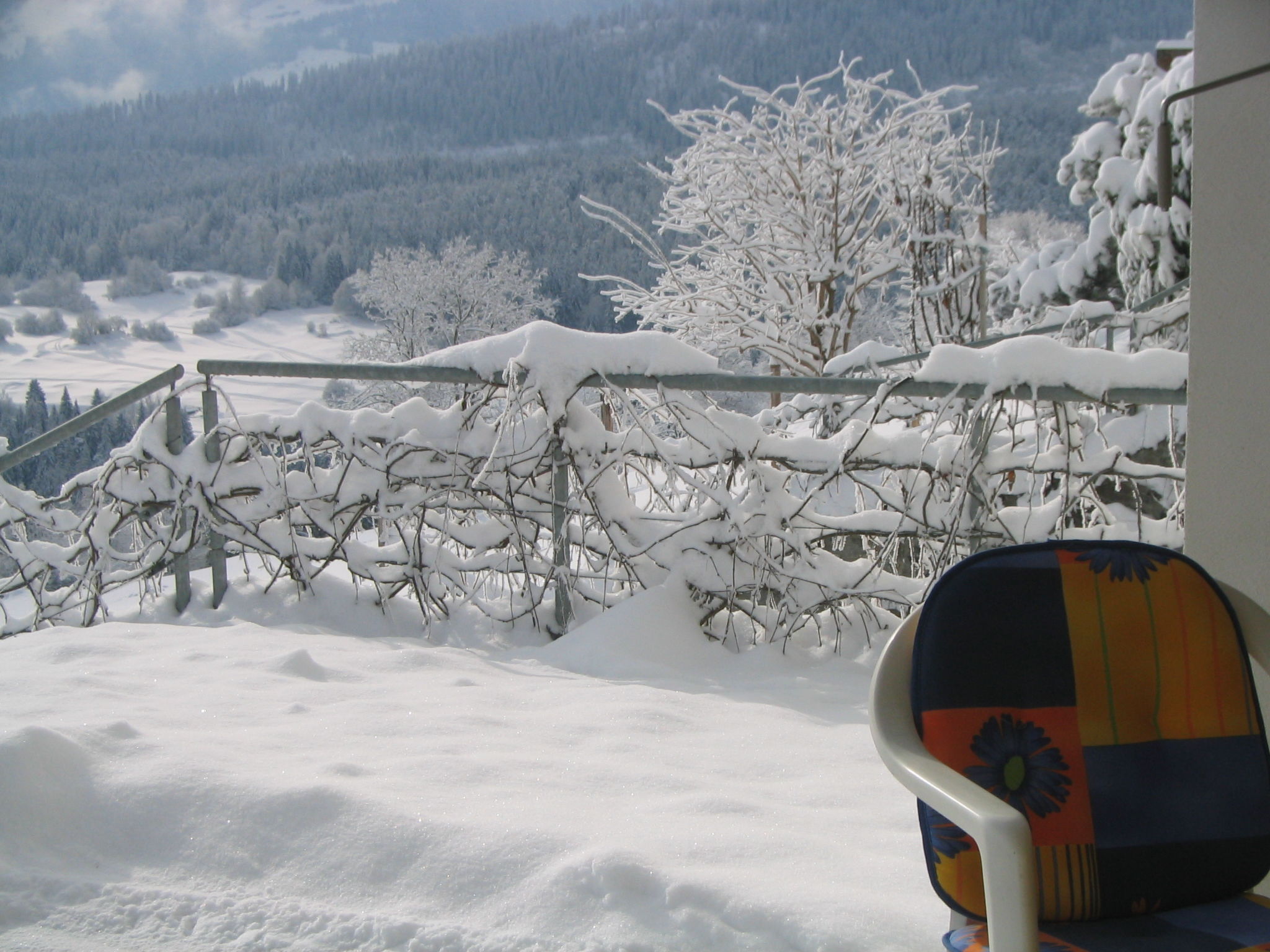 Photo of Plattas, (Flims Fidaz), 1045