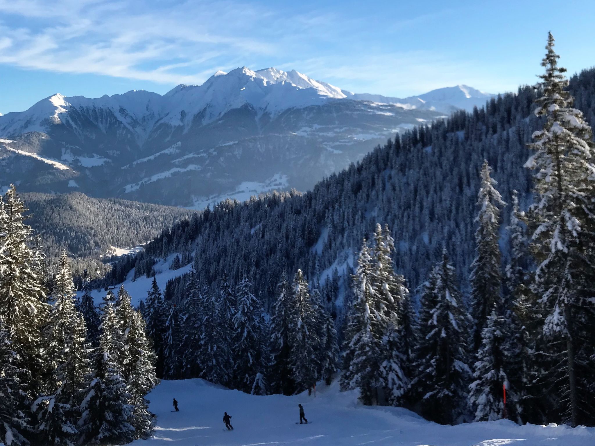 Photo of Haus Beta / Meier, (Flims Waldhaus). 3.5 Zimmerwohnung - 48