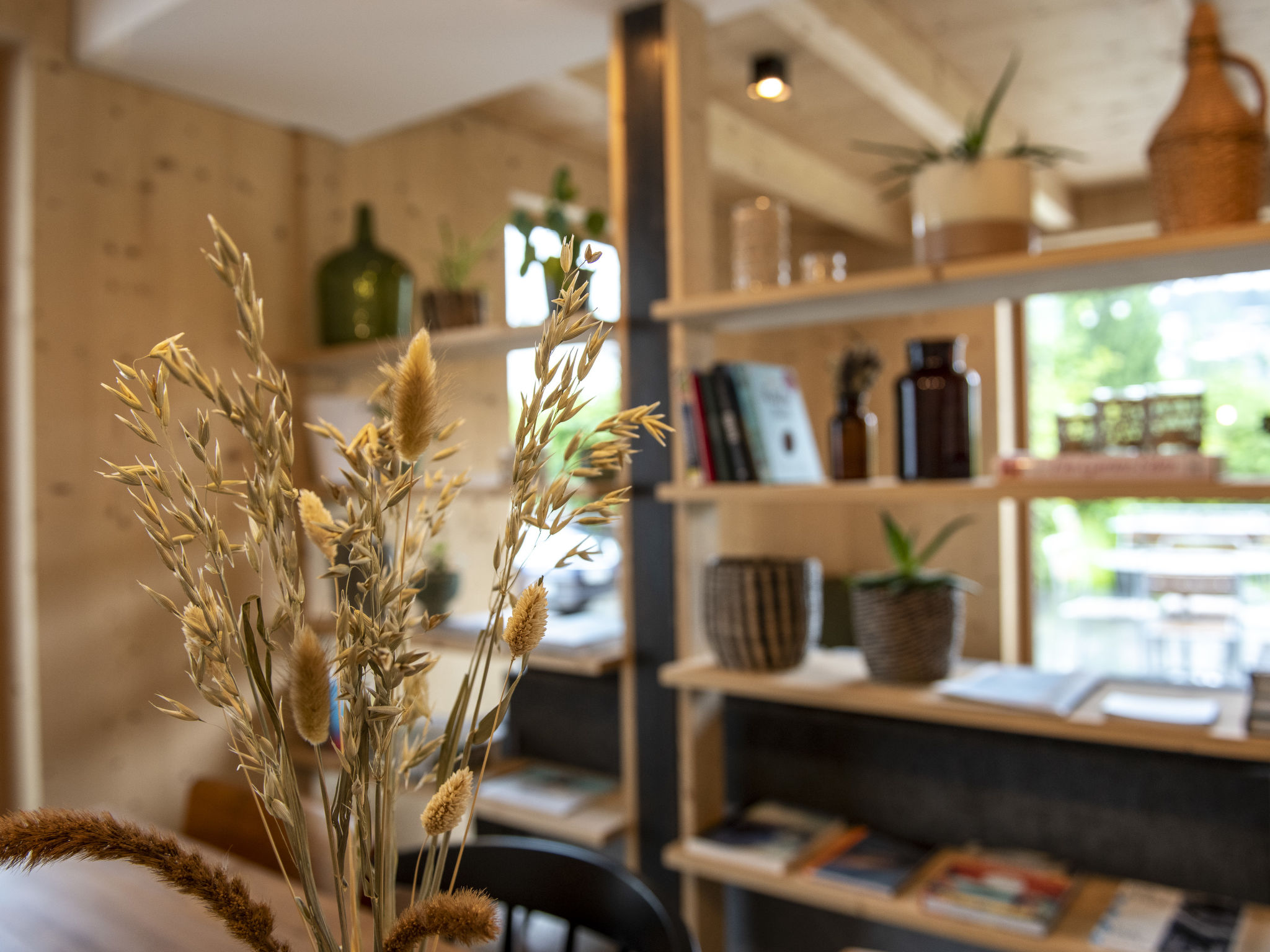 Photo of Flem Mountain Lodge, (Flims Waldhaus). Moderne neue 4.5 Ferienwohnung