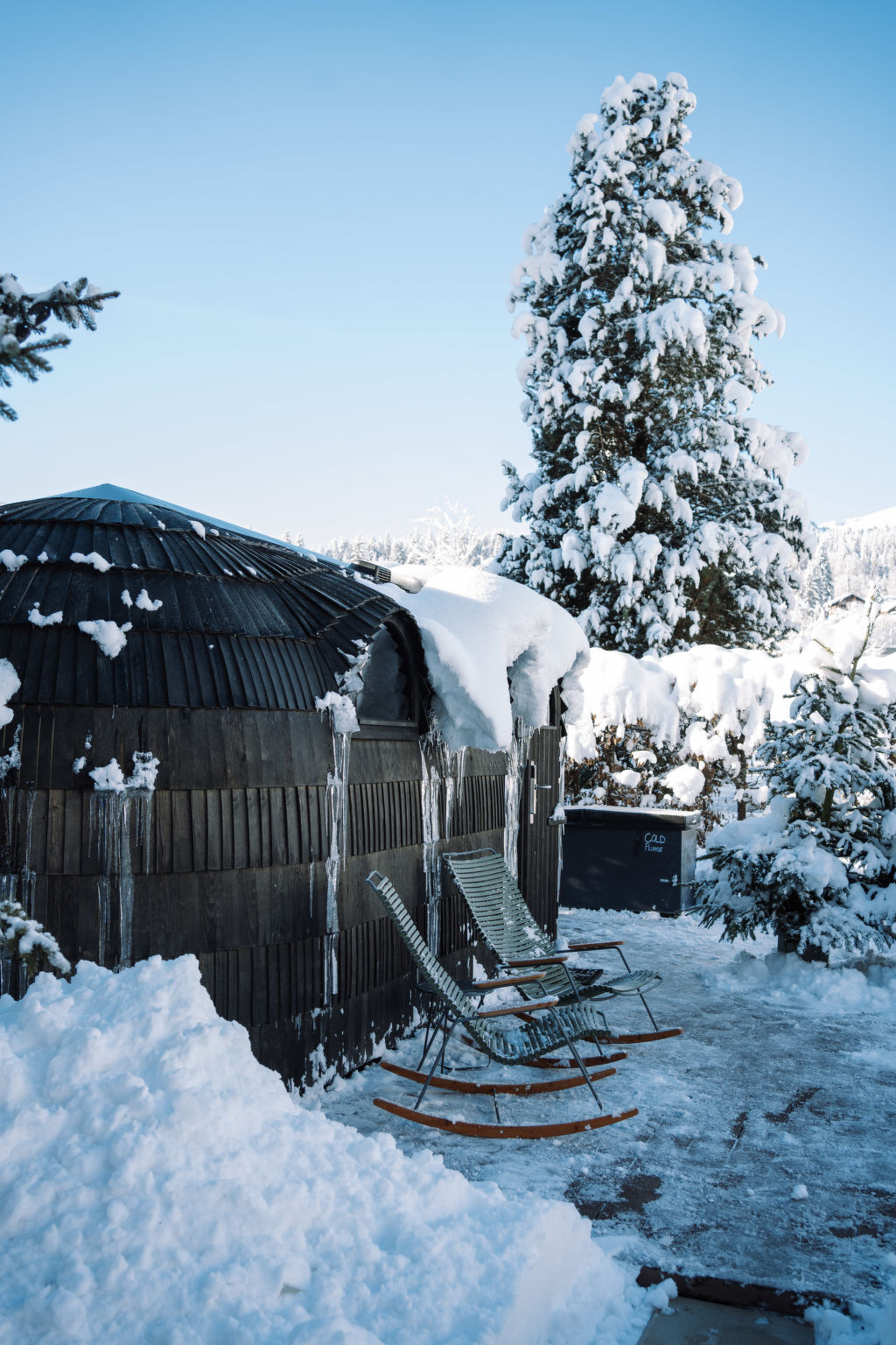 Photo of Flem Mountain Lodge, (Flims Waldhaus),