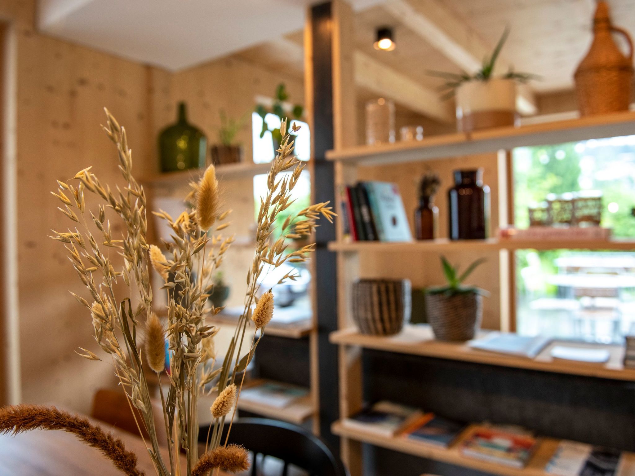 Photo of Flem Mountain Lodge, (Flims Waldhaus),