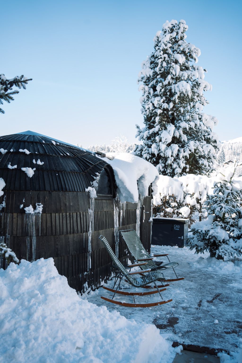 Photo of Flem Mountain Lodge, (Flims Waldhaus),