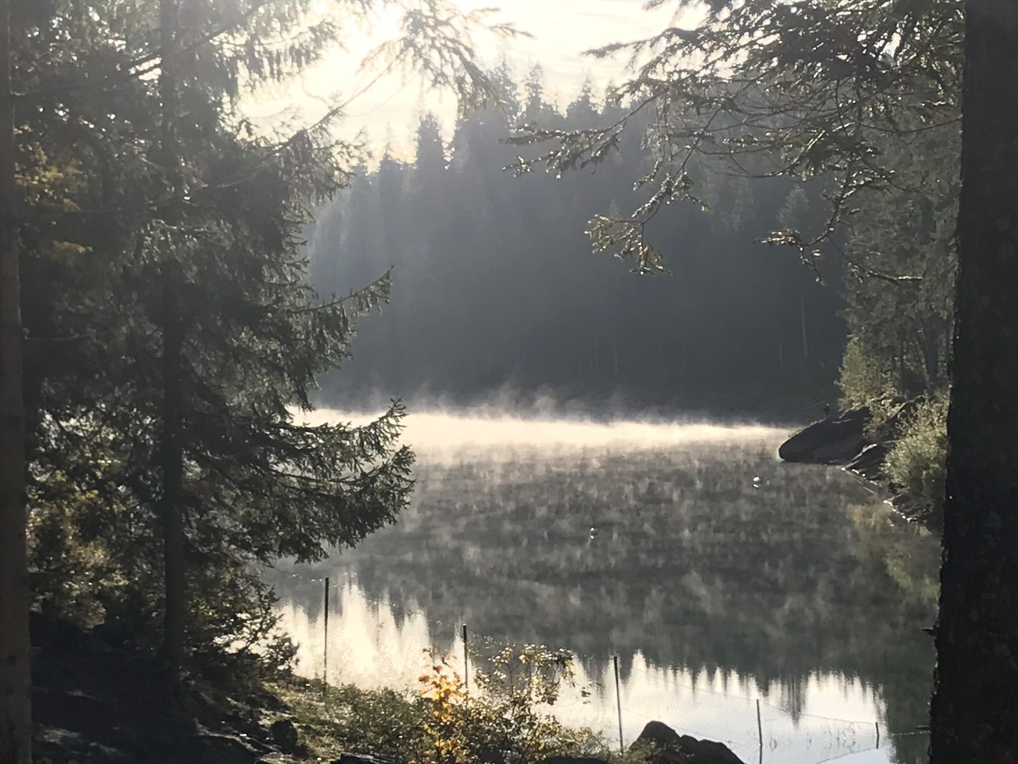 Photo of Casa Primavera B32, (Flims Dorf). 3.5 Zimmerwohnung