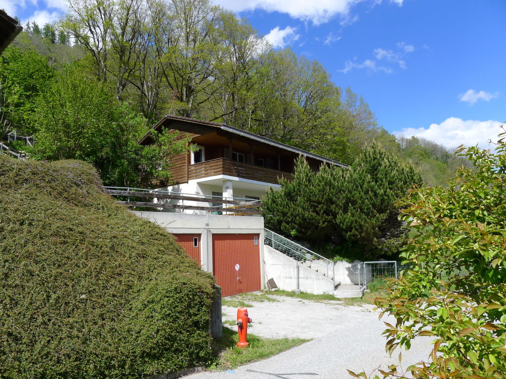 Bild 31