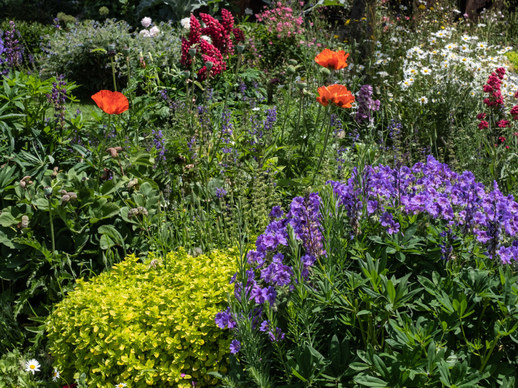 Photo of Haus 1, (Laax Murschetg). Haus 1