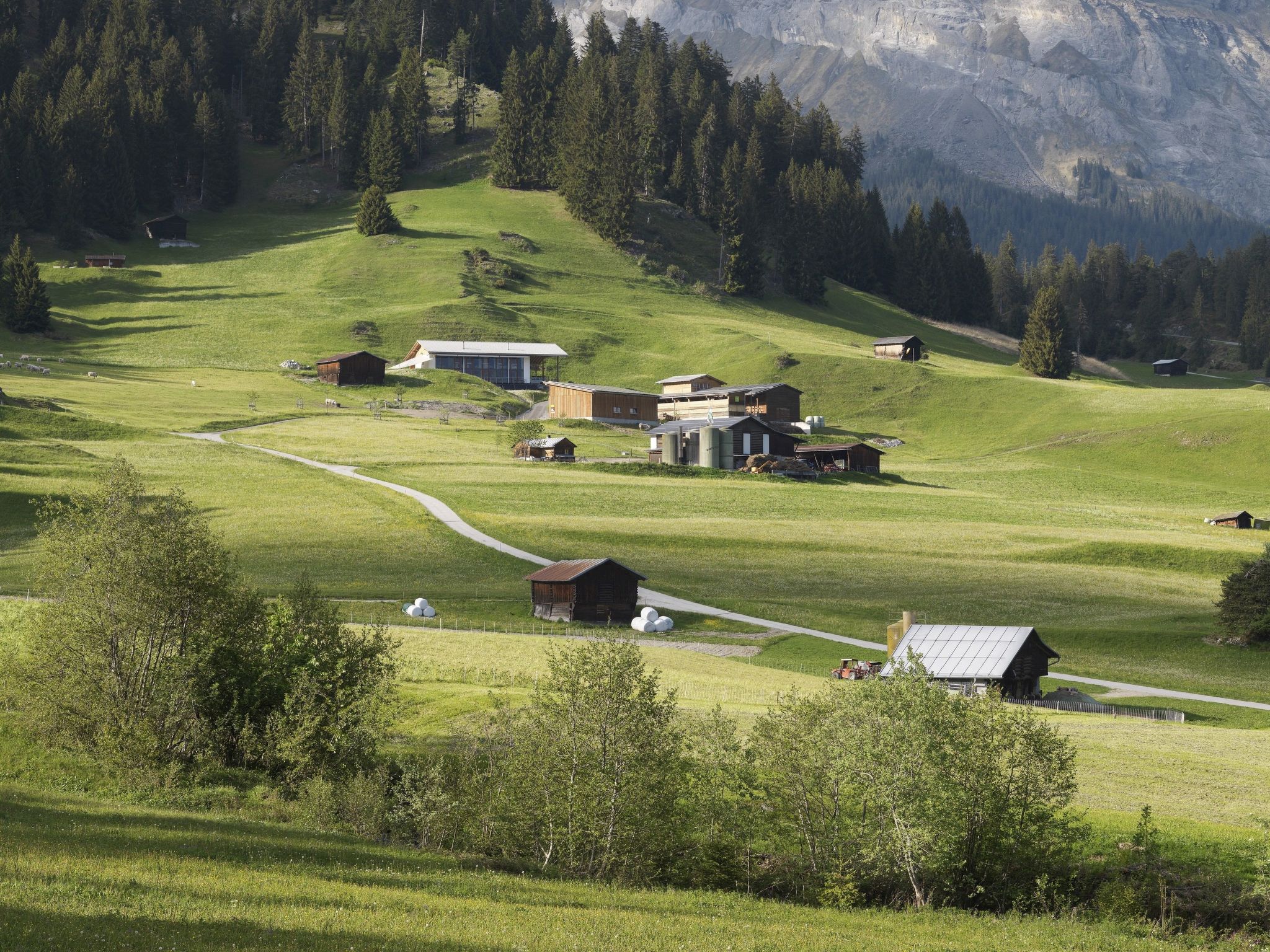 Photo of Ferien auf dem Bauernhof, (Laax Murschetg), 329