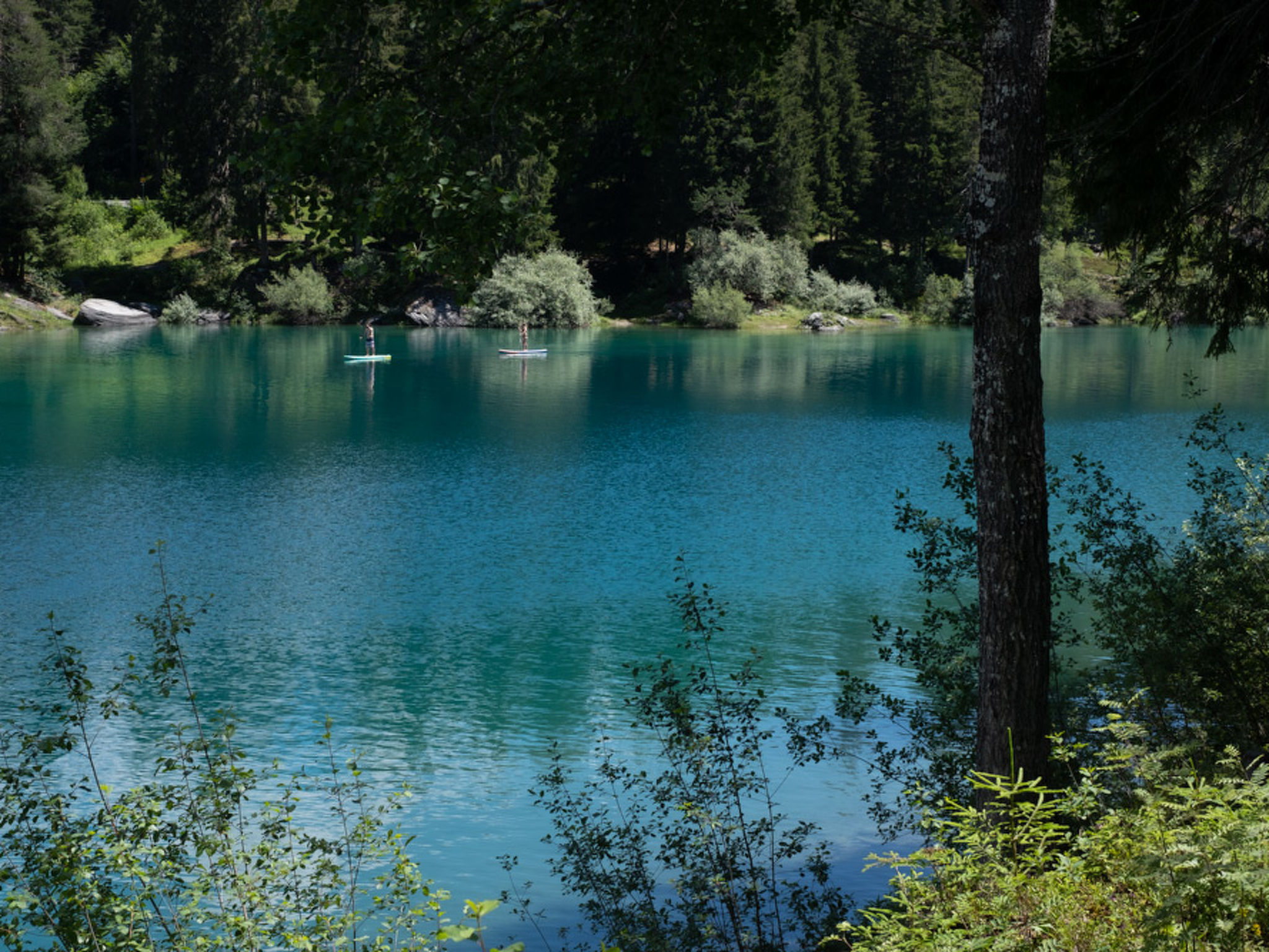 Photo of Haus 3, (Laax Murschetg). Haus 3