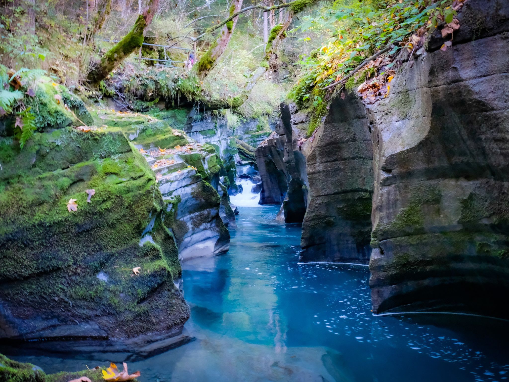 Photo of CH7031.712.1