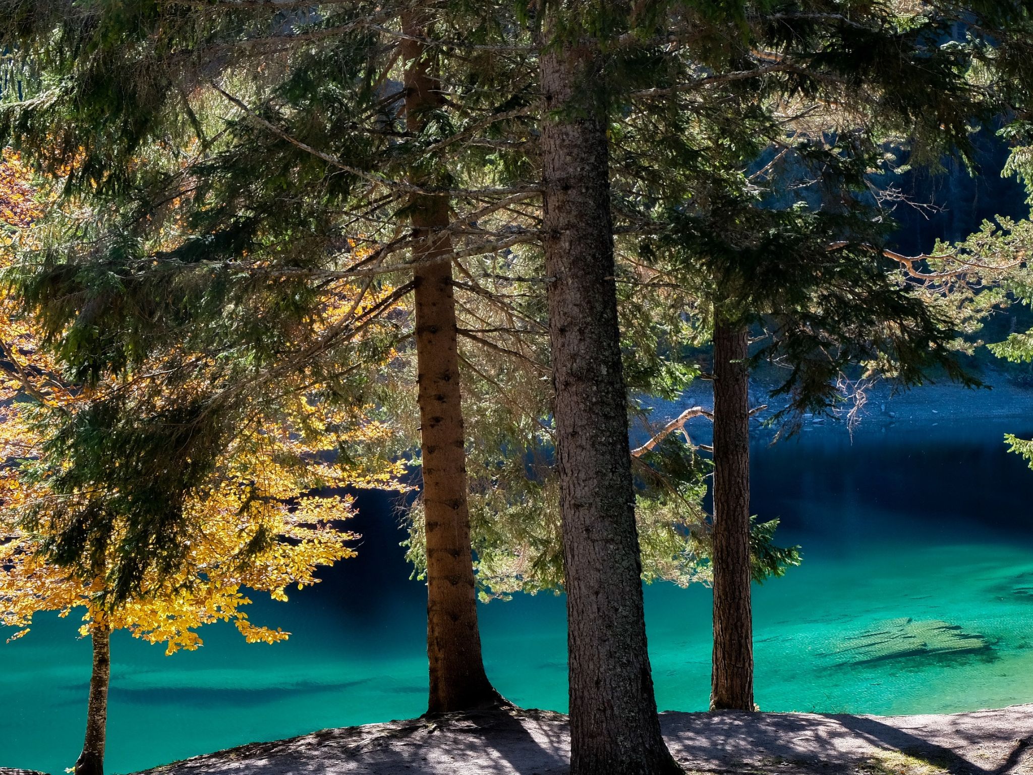 Photo of CH7031.712.1