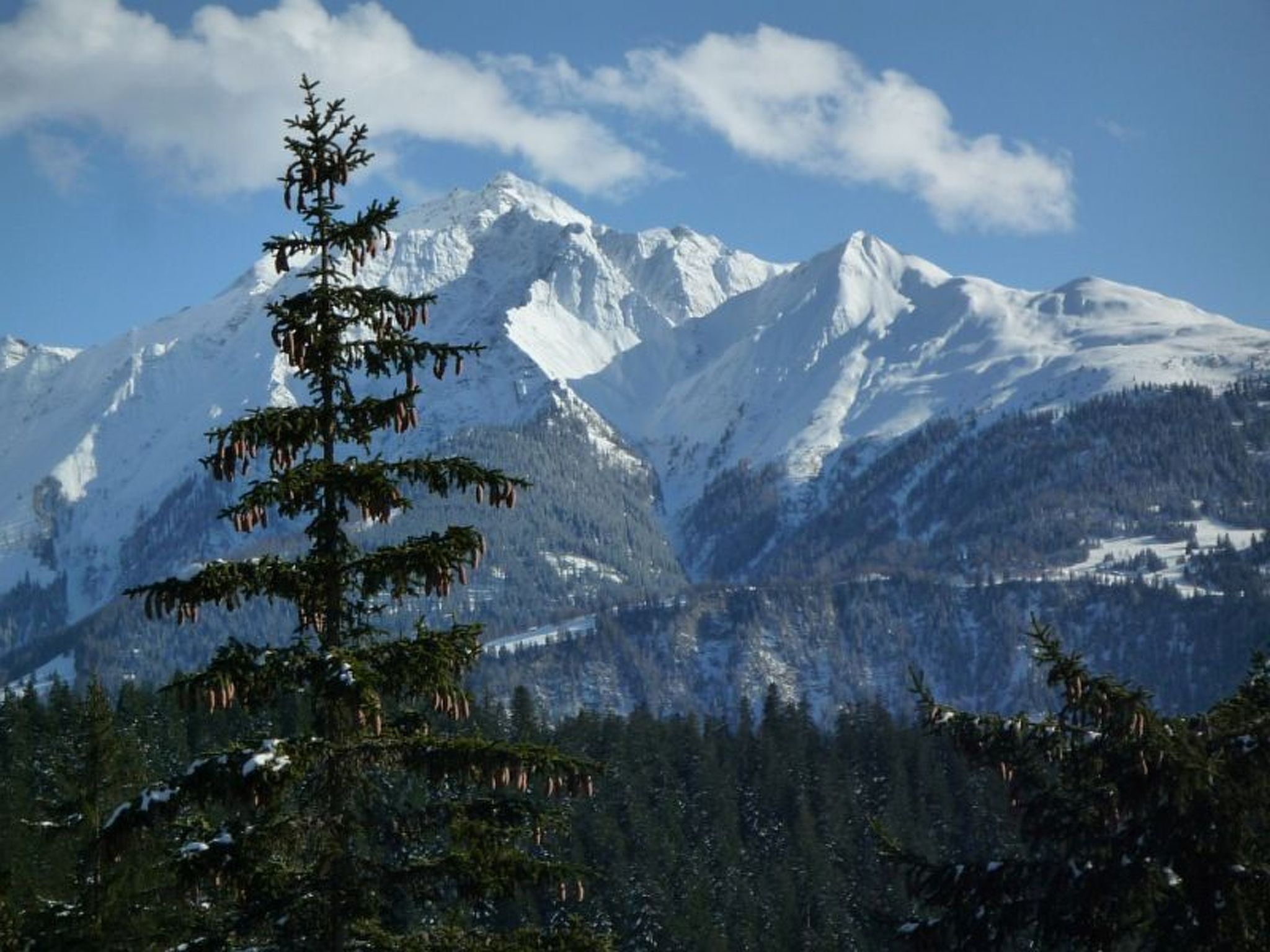 Photo of Mountain View Val Mulin 8, (Laax Murschetg), 276