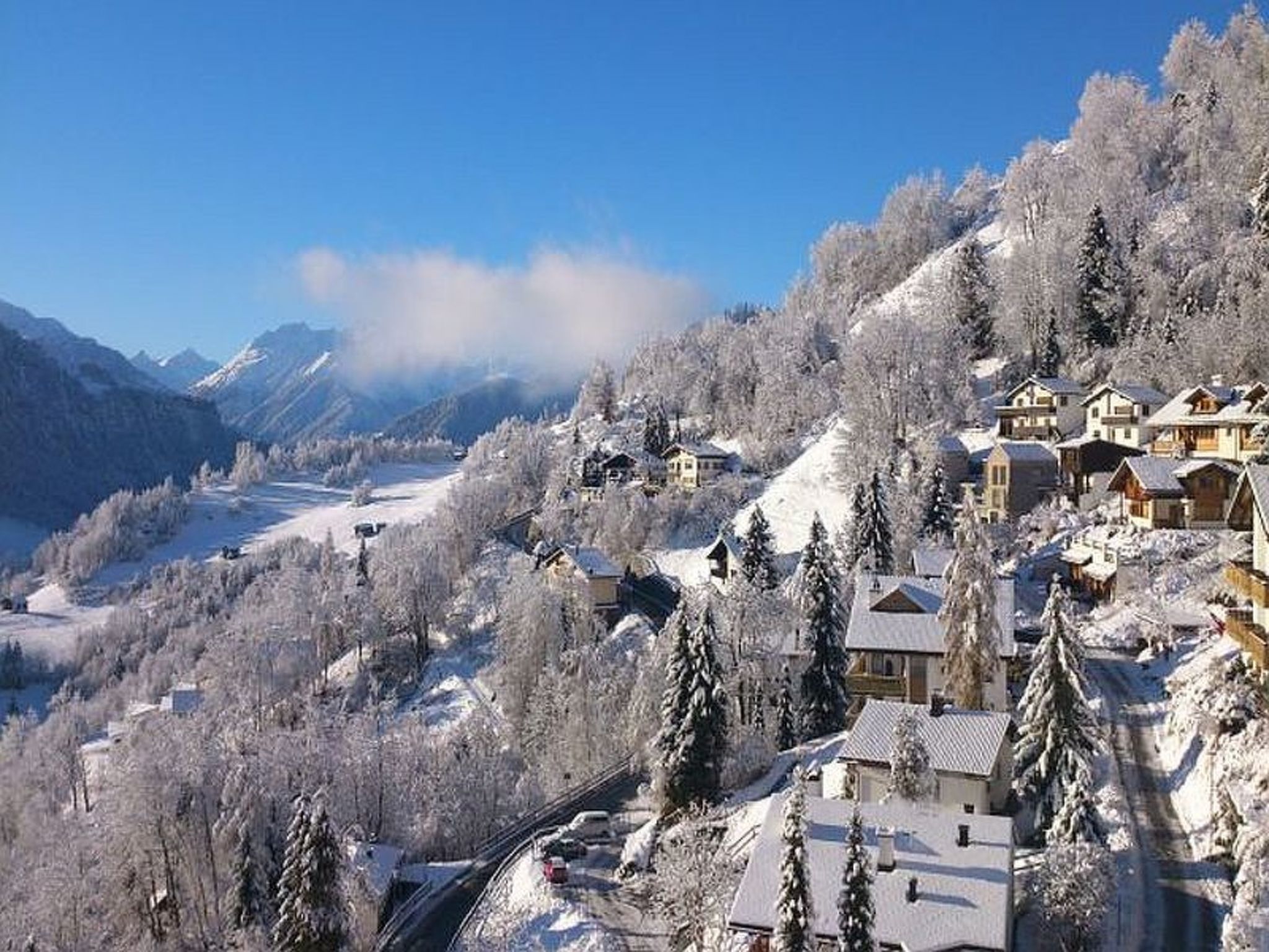 Photo of Marmotta, (Laax Dorf), 21052