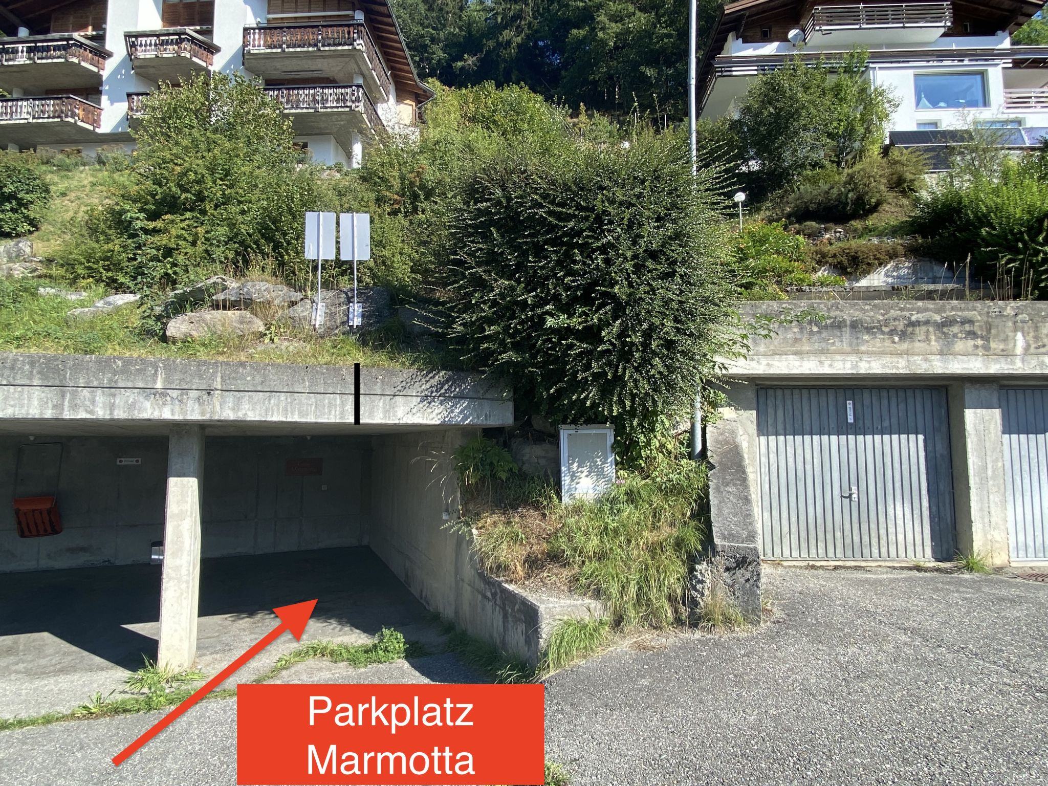 Photo of Marmotta, (Laax Dorf), 21052