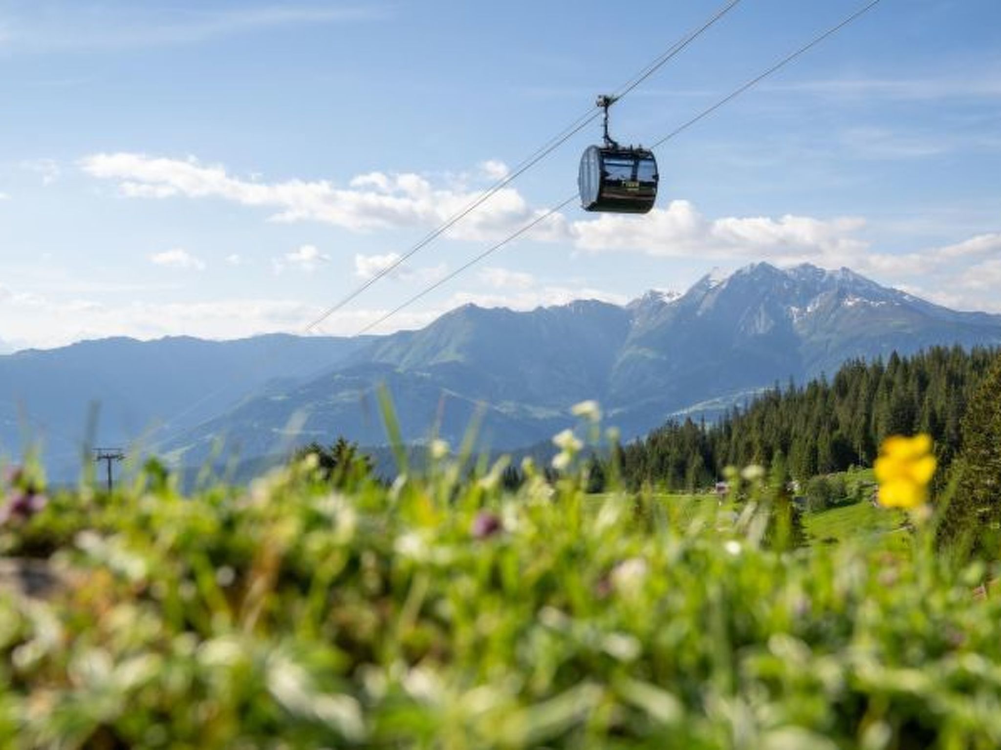 Photo of Maighels 8-9