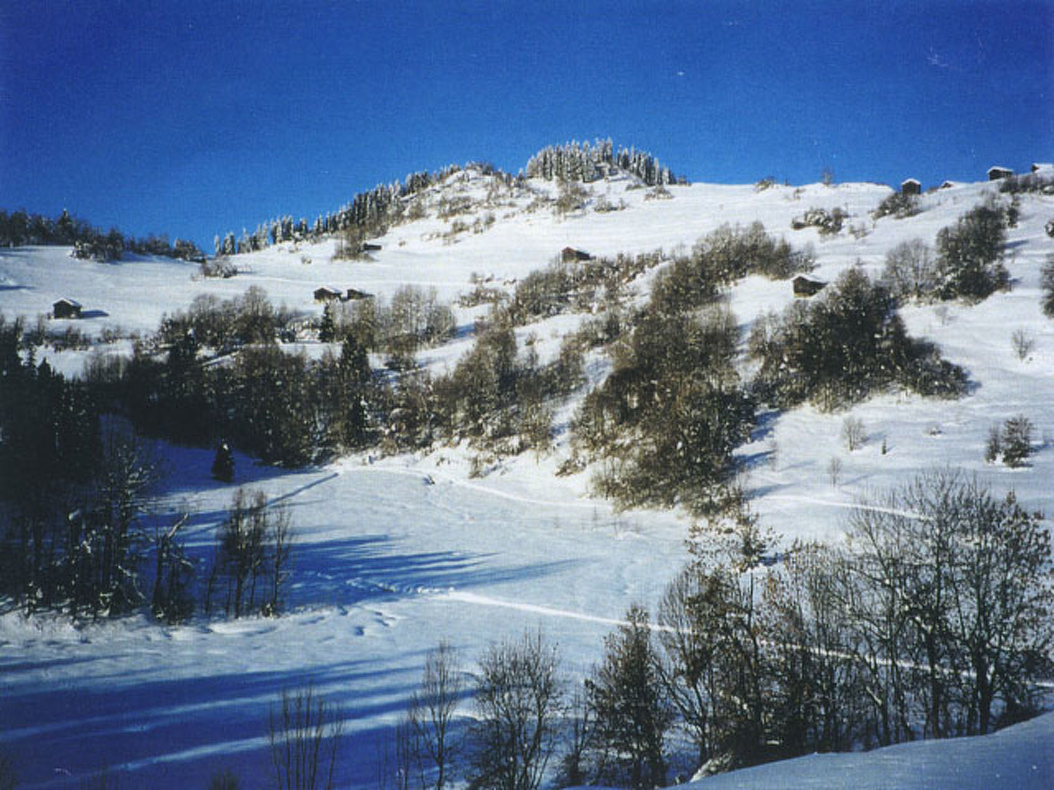 Photo of Casa Migiur, (Laax Dorf), 37008
