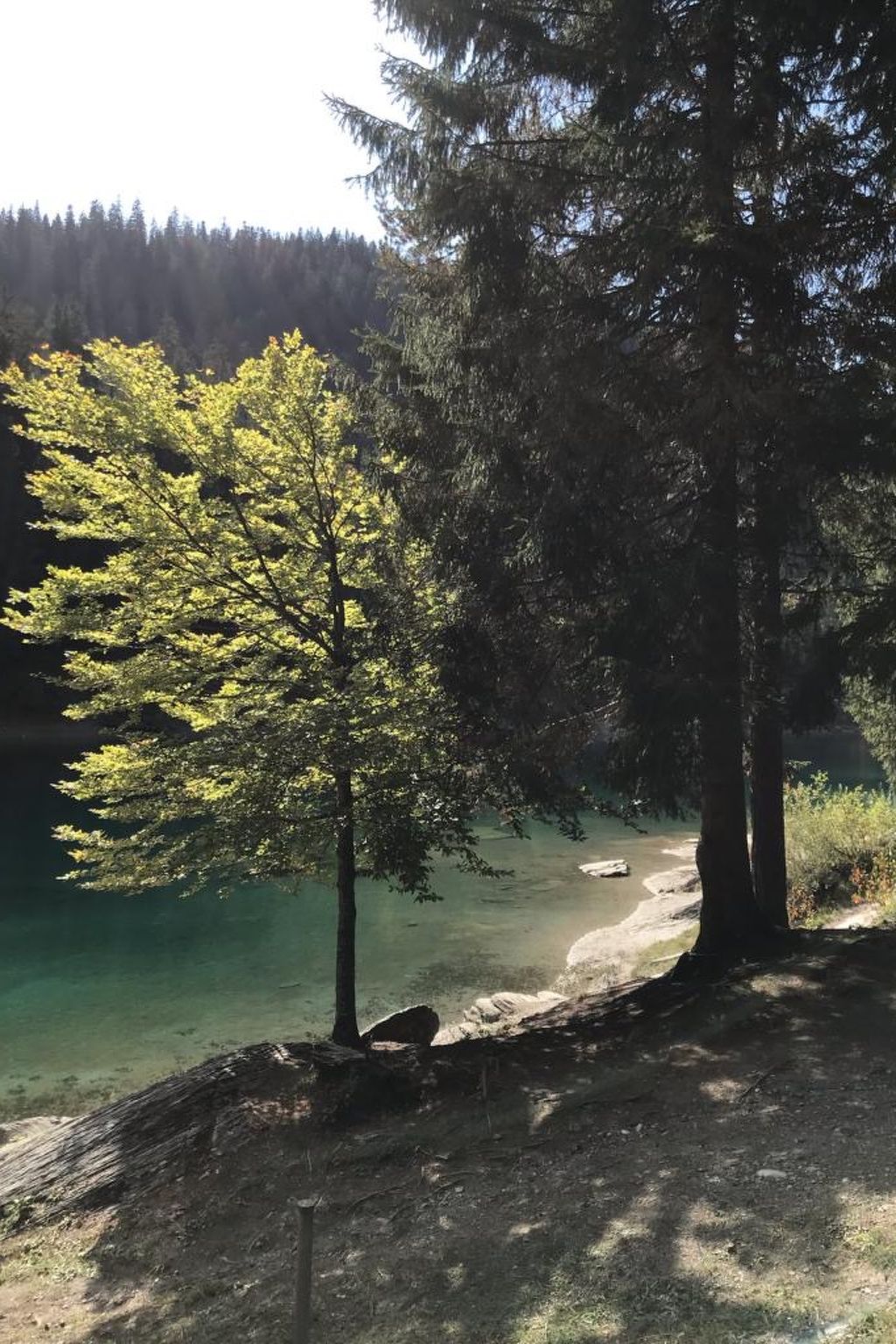 Photo of CH7031.749.1