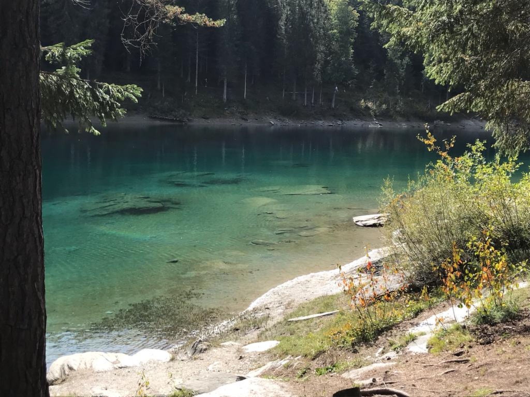 Photo of CH7031.749.1