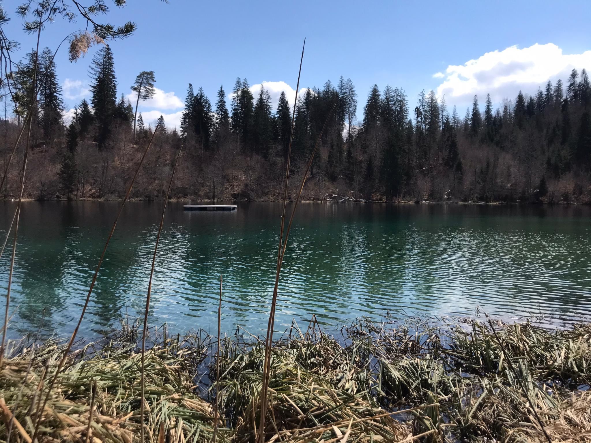 Photo of CH7031.749.1