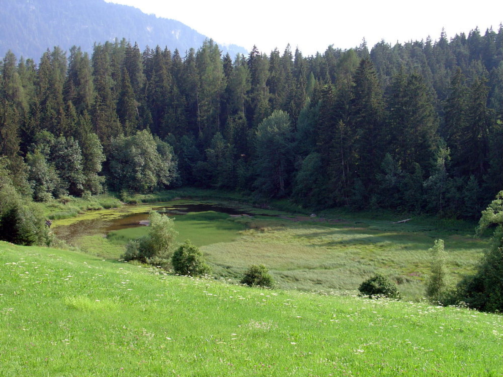 Photo of CH7031.749.1