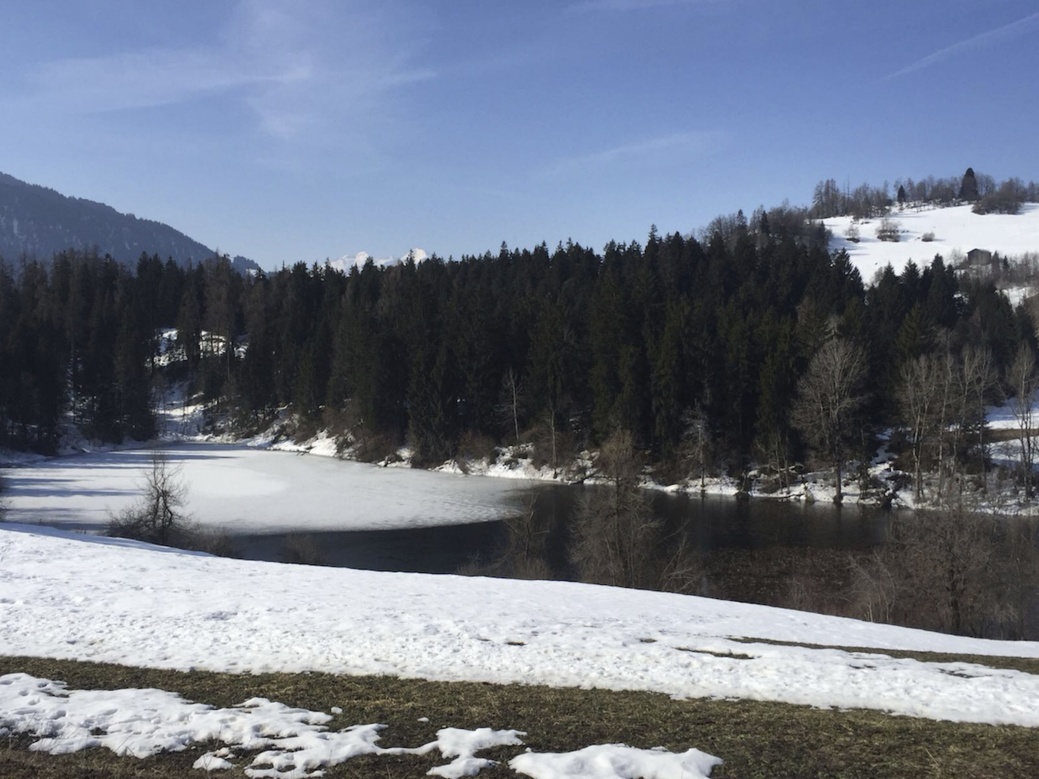 Casa Migiur, (Laax Dorf), 37008