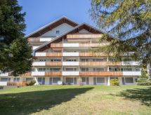 Riant appartement in Laax, direct aan de skipiste met uitzicht op berg en meer - thumbnail 2