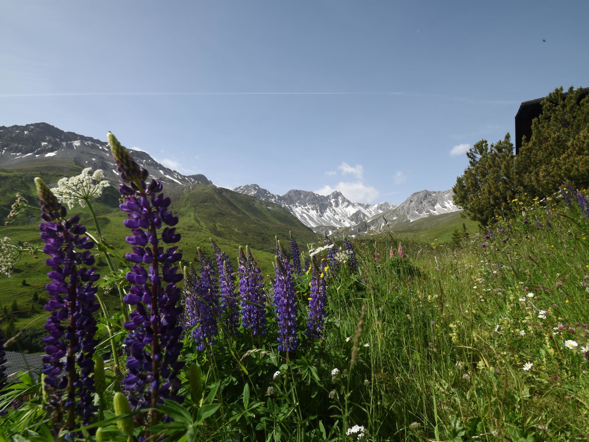 4-Bettwohnung