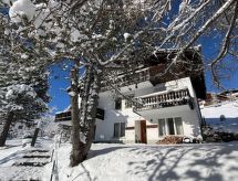 Knus appartement in Arosa direct aan skipiste en bergmeer - thumbnail 1