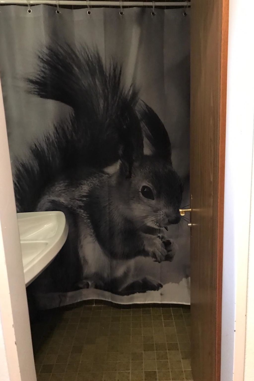 Photo of Derby 25 Appartement/Fewo, Dusche oder Bad, WC, 4-Bettwohnung
