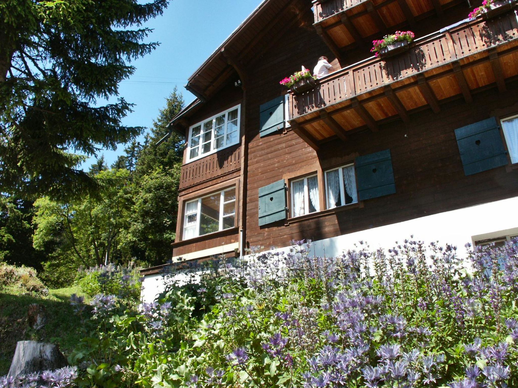 Photo of Chalet Willi-Parterre Appartement/Fewo, Dusche, WC, 2-Bettwohnung