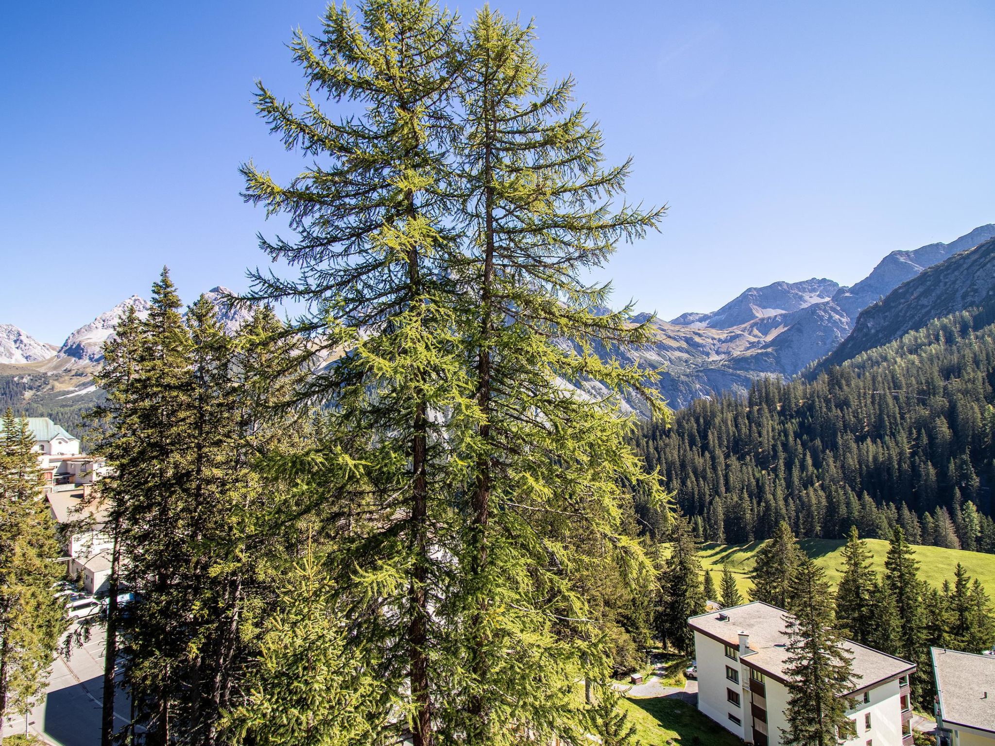 Photo of Miraflor Angela by Arosa Holiday Appartement/Fewo, Dusche oder Bad, 4-Bettwohnu