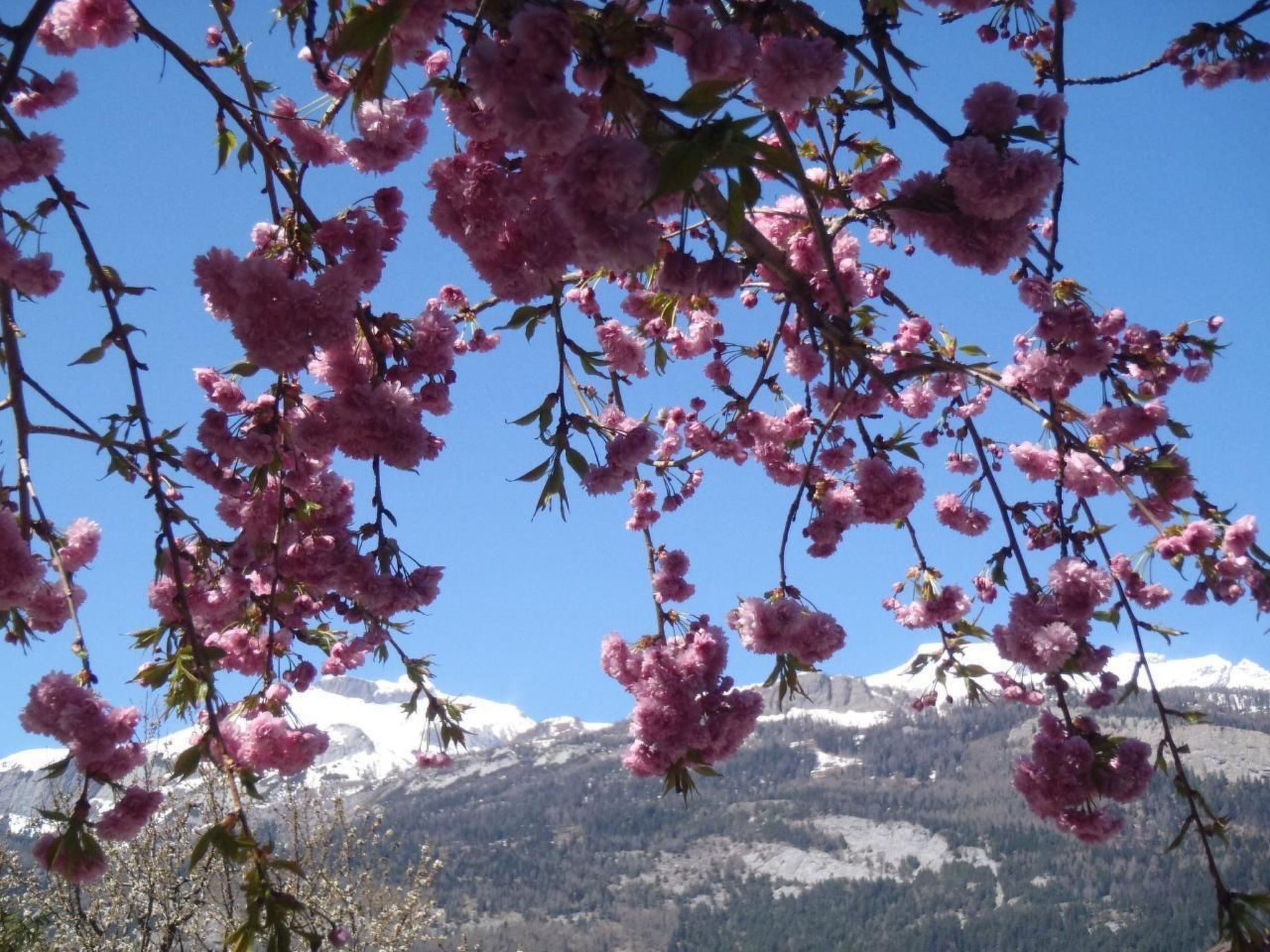 Guest House Chur-Inside