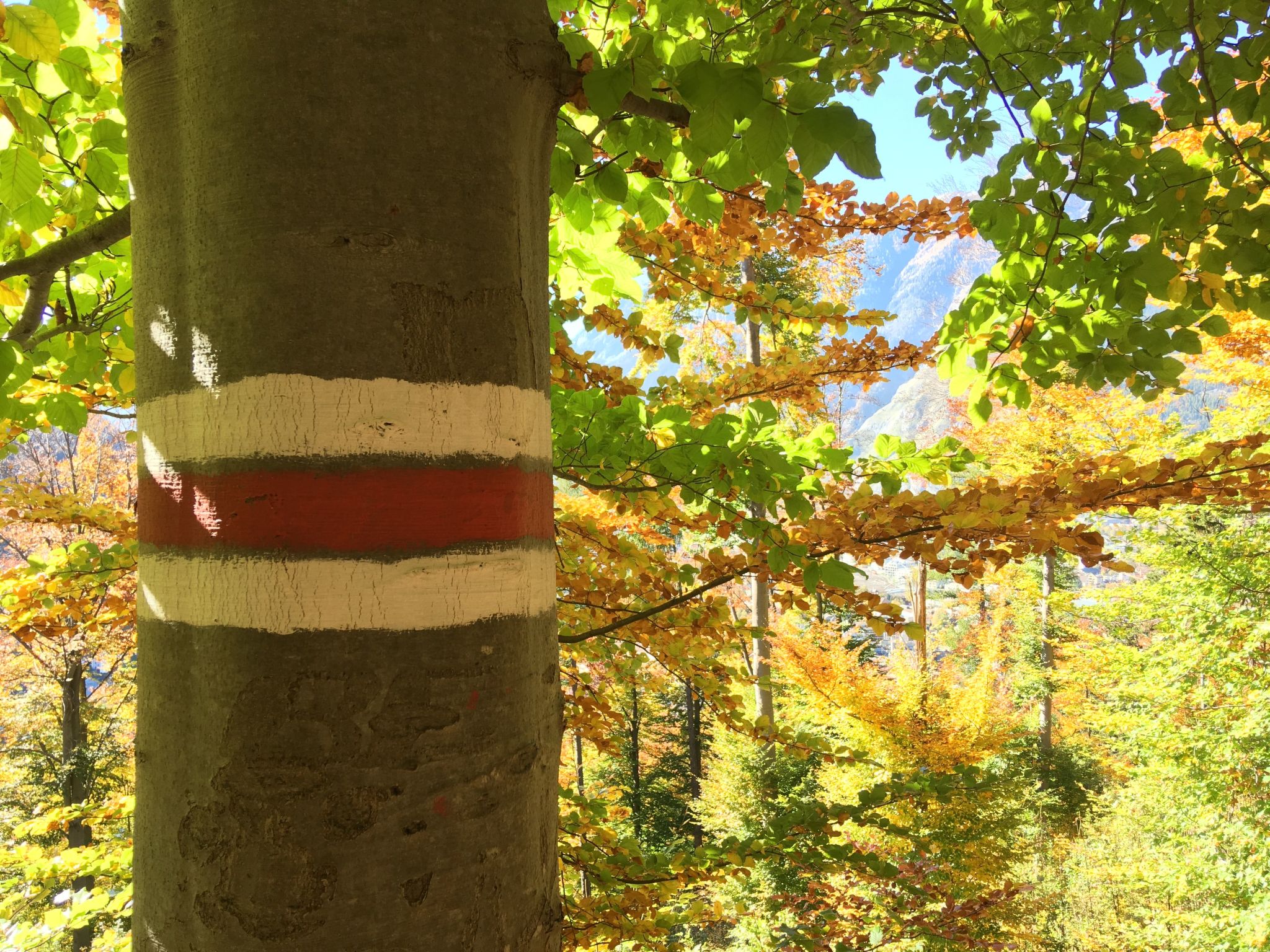 Guest House Chur-Inside