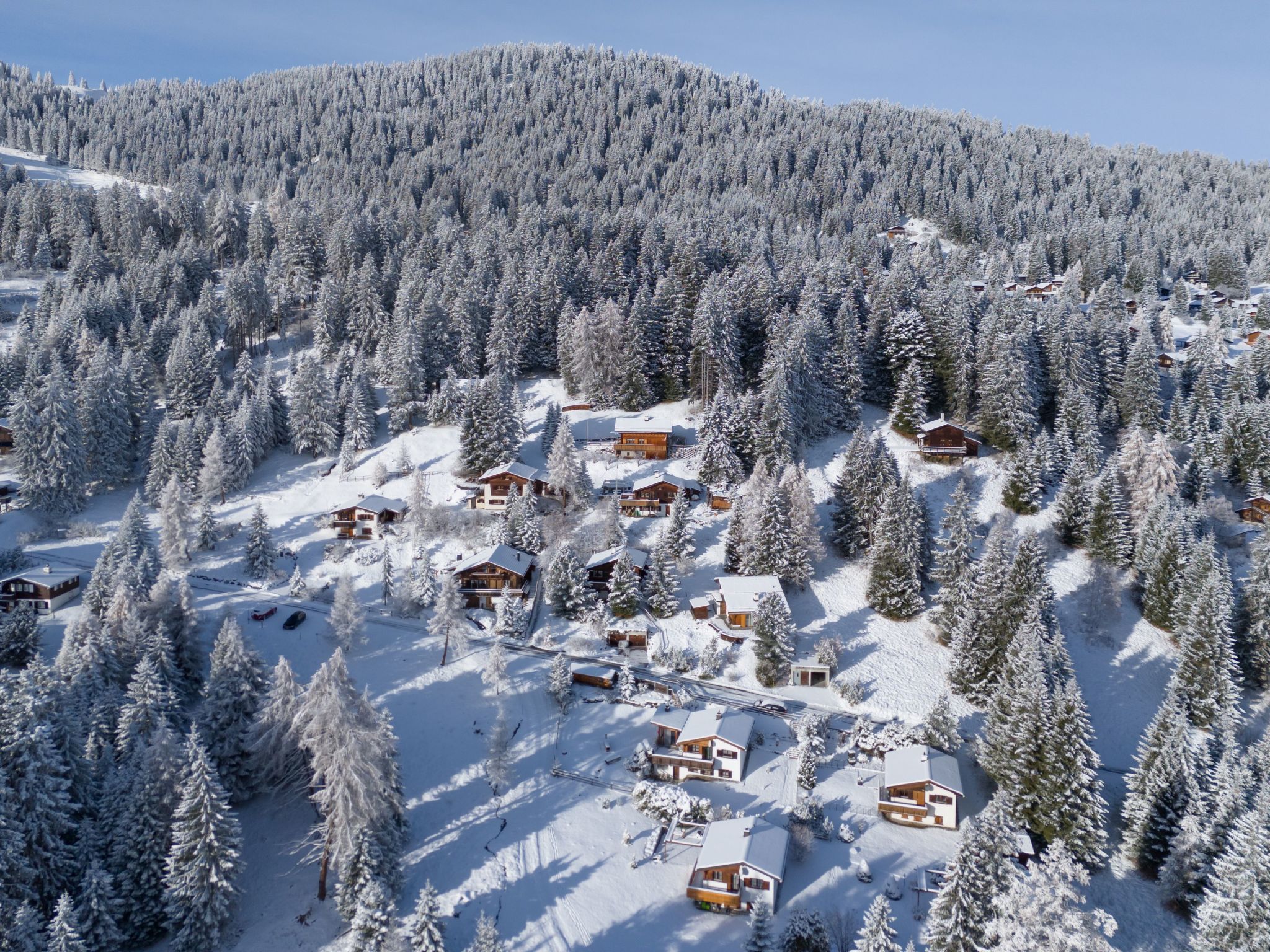 Alpen Retreat-Binnen