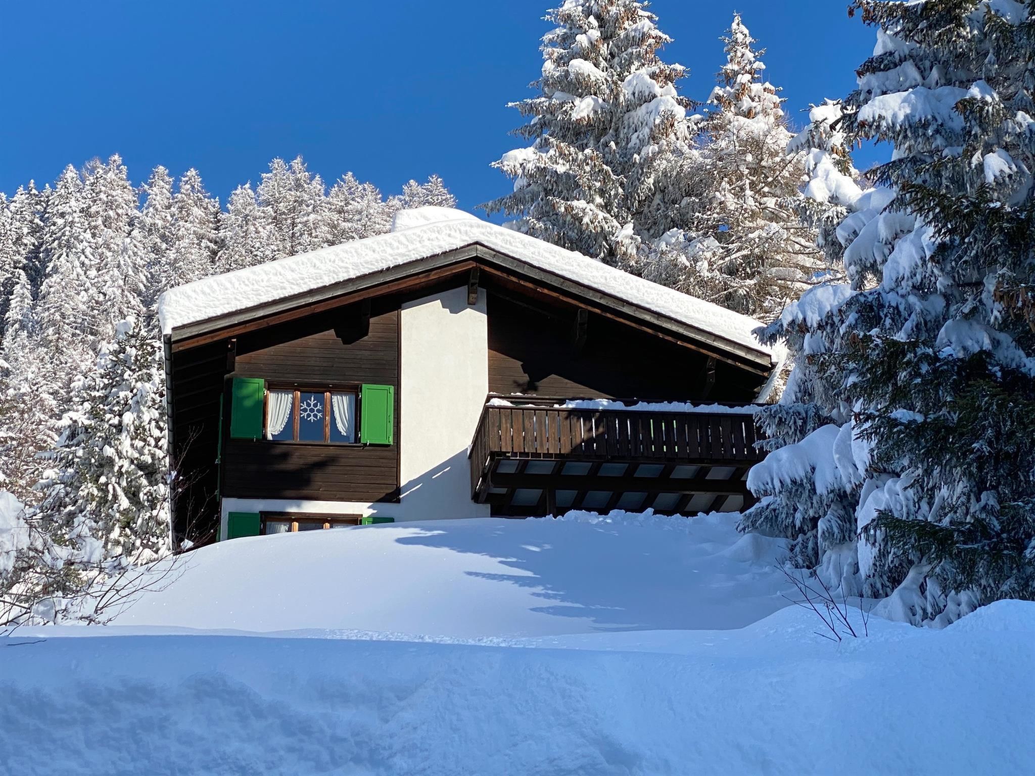 Riedblick Appartement/Fewo,   Riedblick IH