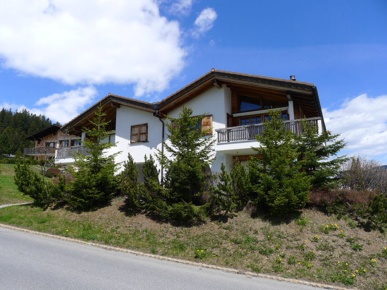 Tgesa Sartons - Slide 12