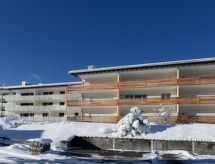 Rustiek 5-persoons appartement direct aan de skipiste in Lenzerheide - thumbnail 3