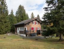 Ski-in ski-out appartement Lenzerheide: direct aan de piste - thumbnail 4